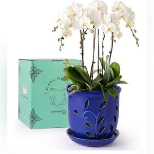 Blue Ceramic Orchid Pot with White Orchids
NWT